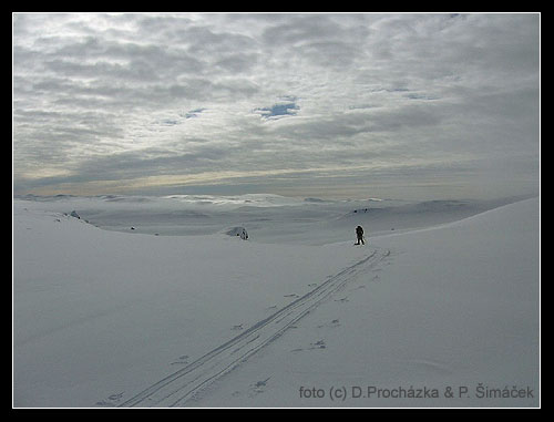 Hardangervidda 